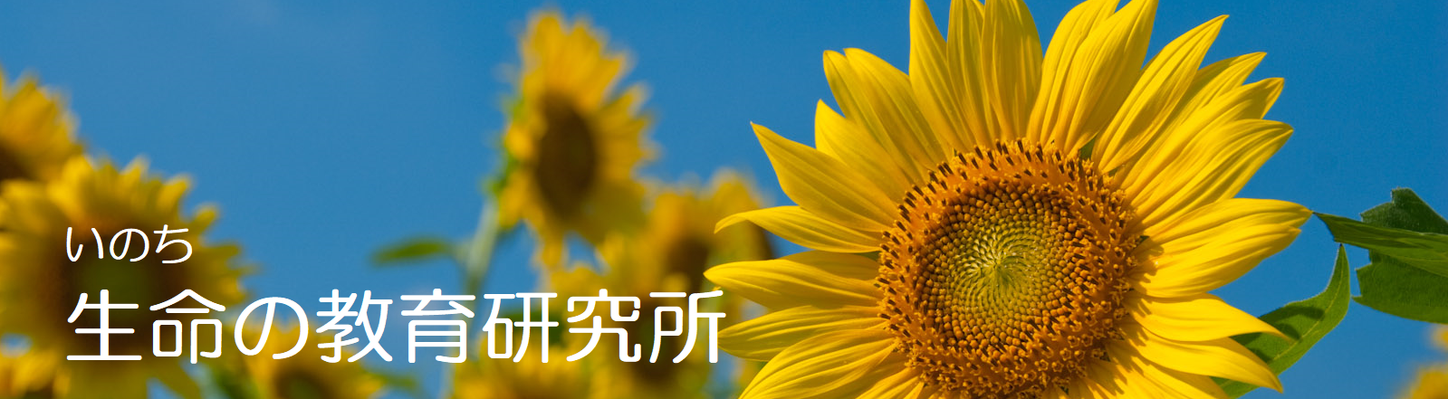 ̂̋