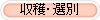収穫・選別