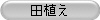 田植え